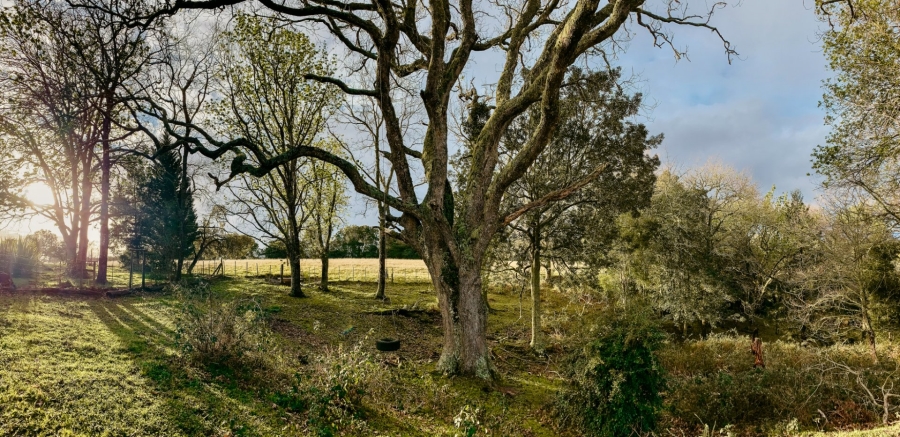 6 Bedroom Property for Sale in Plettenberg Bay Rural Western Cape